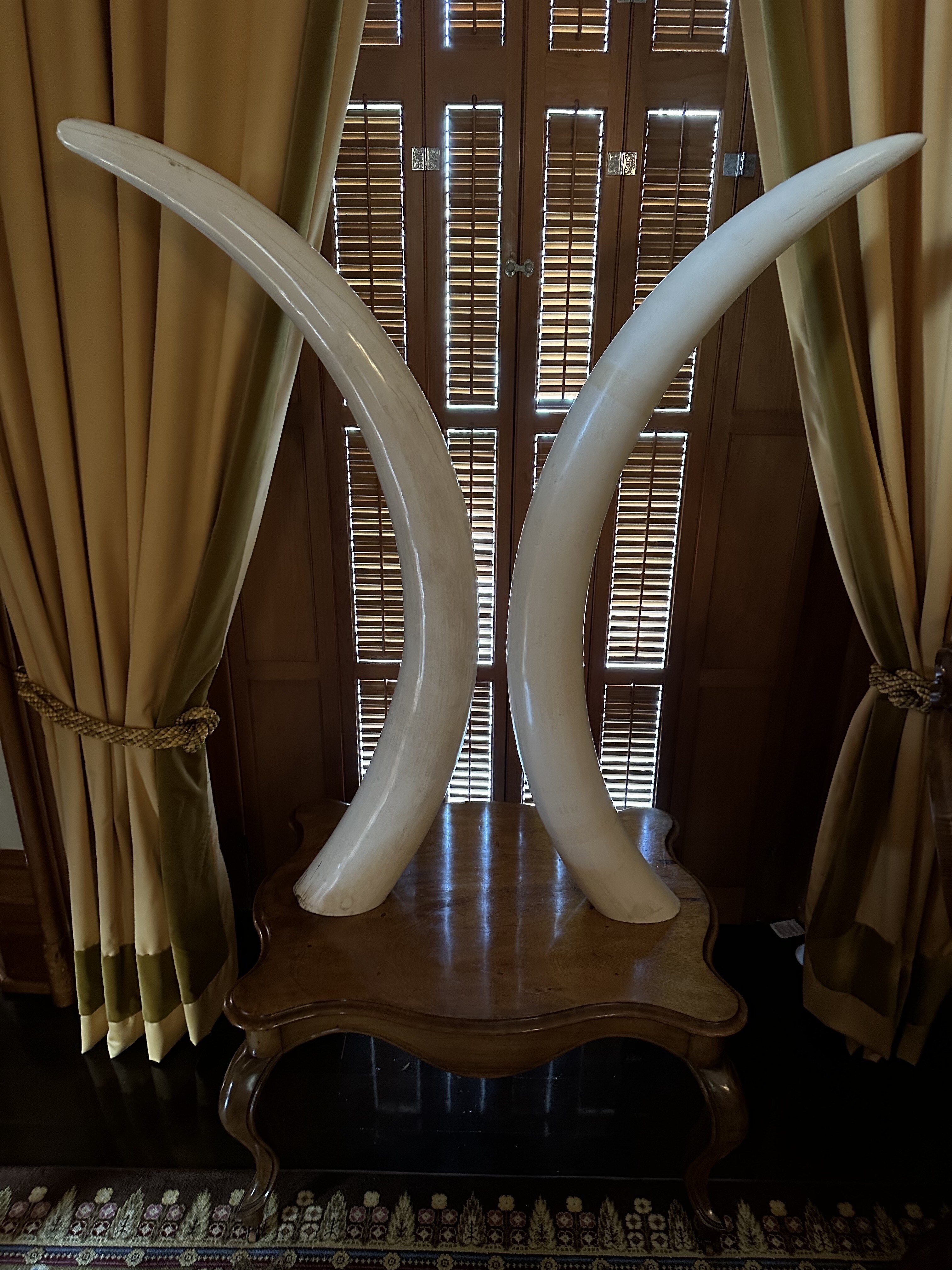 These elephant tusks were given to King David Kalākaua for his 50th birthday jubilee in 1886 | A tour of ʻIolani Palace - Paubox Kahikina Scholarship