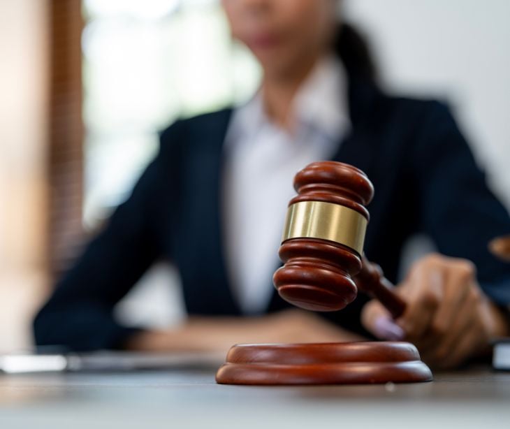 woman holding law gavel